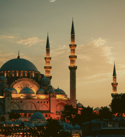 Beige and Brown Organic Collage Travel To Istanbul Flyer